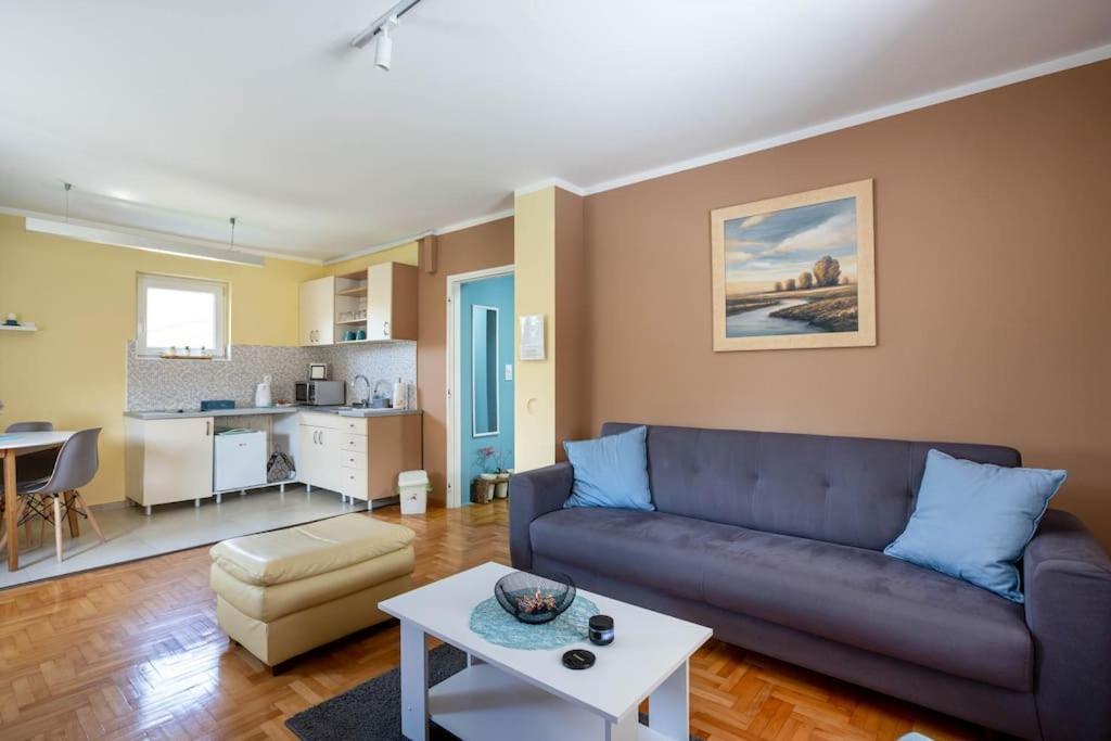 Charlie&Blueberries Apartment Beograd Bagian luar foto