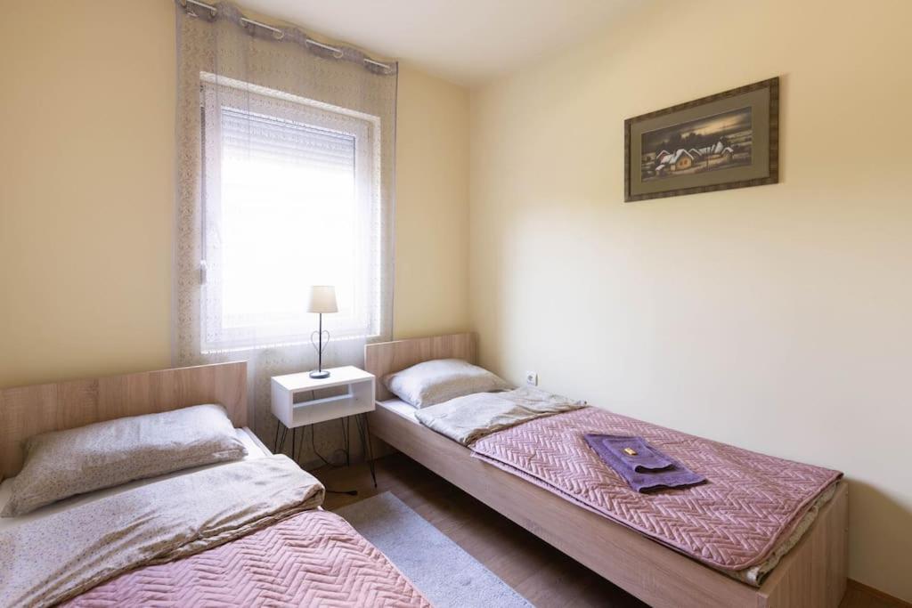 Charlie&Blueberries Apartment Beograd Bagian luar foto